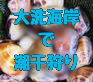 大洗海岸潮干狩りタイトル