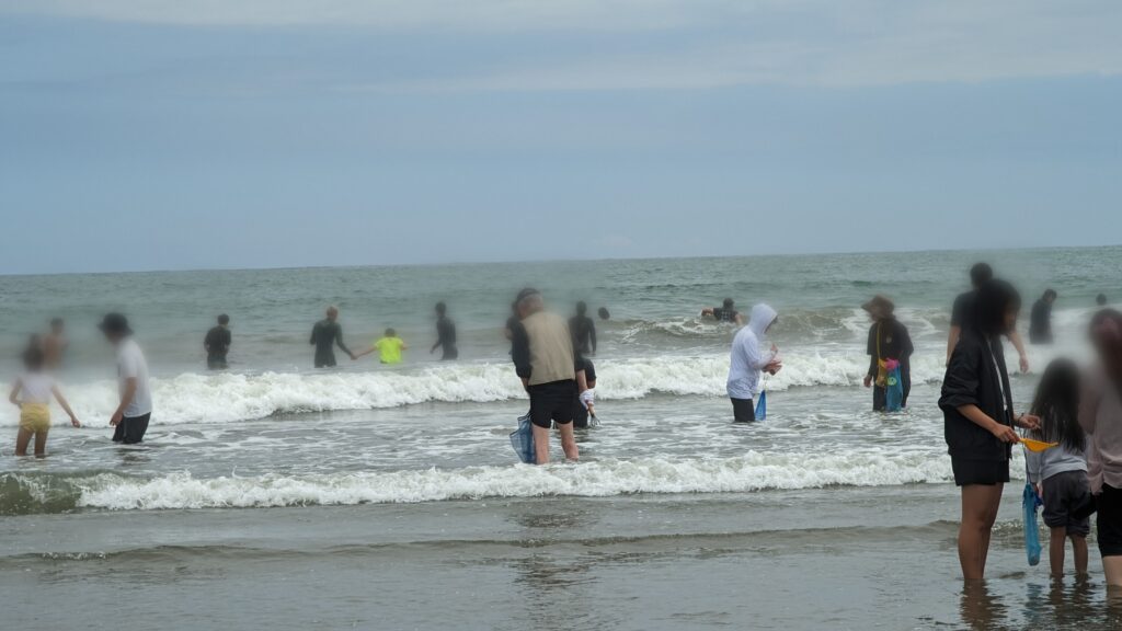 海に入って潮干狩りの様子